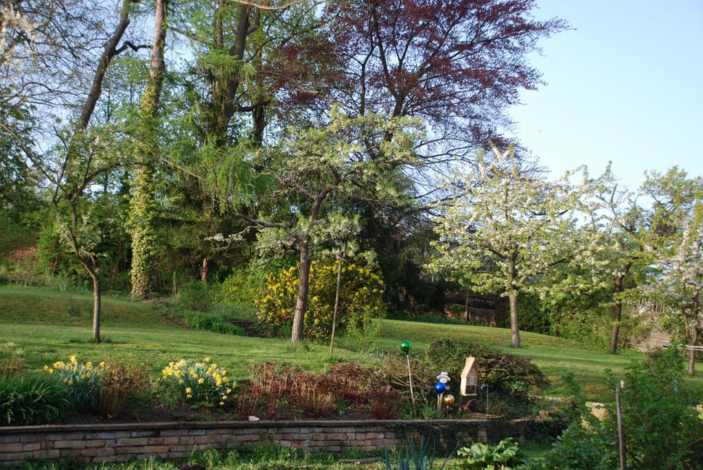 La Maison De Georges - Les Coquelicots Scharrachbergheim-Irmstett Zimmer foto